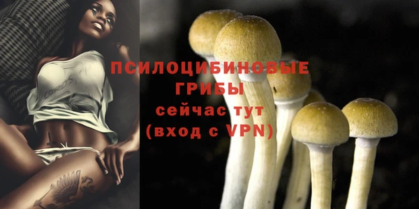стаф Белоозёрский