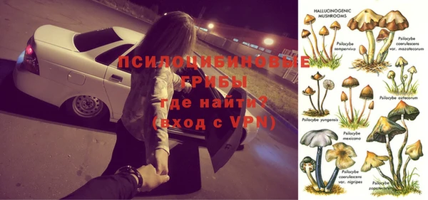 прущая мука Белокуриха