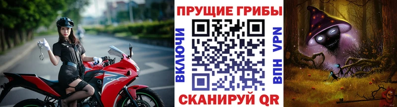 Купить закладки  Туран  Псилоцибиновые грибы MAGIC MUSHROOMS 